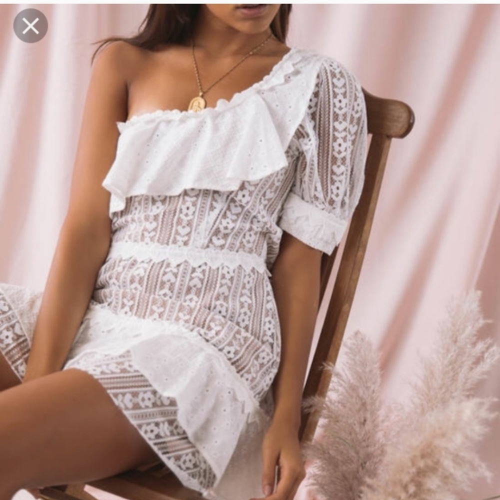 For Love and Lemons Lovebird Lace Mini Dress